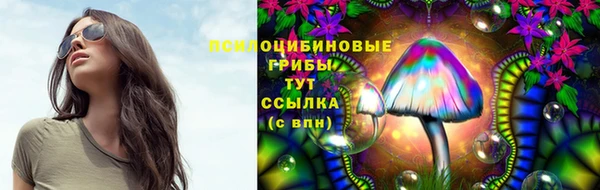 герыч Алзамай